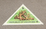 Stamps Asia - Maldives -  Coral Acropora