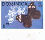 Stamps : America : Dominica :  Mariposa