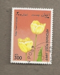 Stamps Afghanistan -  Tulipán