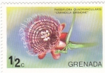 Stamps Grenada -  FLORES