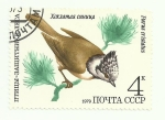 Stamps Russia -  Aves 4885
