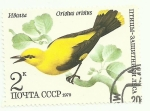 Stamps Russia -  Aves 4883