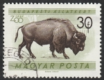Sellos del Mundo : Europa : Hungría :  1414 - Zoo de Budapest, bisonte