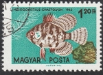 Stamps Hungary -  1501 - Pez