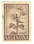 Stamps Argentina -  girasol