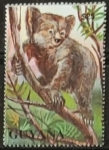 Stamps : America : Guyana :  Giant Koala