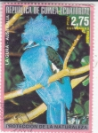 Stamps Equatorial Guinea -  AVE- LA GURA  PROTECCIÓN DE LA NATURALEZA