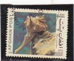 Stamps : Asia : Afghanistan :  CARACOLA