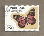 Stamps Africa - Guinea -  Mariposa: Danaus cleophile