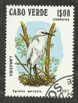 Stamps Africa - Cape Verde -  Lavadeira
