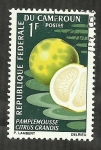 Stamps : Africa : Cameroon :  Pamplemousse citrus grandis