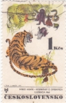 Stamps Czechoslovakia -  ILUSTRACIÓN DE ANIMALES- MIRKO HANAK
