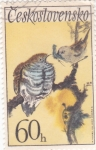 Stamps Czechoslovakia -  AVE-Cuco común (Cuculus canorus),