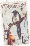 Stamps Europe - Czechoslovakia -  AVE-