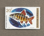 Stamps Rwanda -  Pez Distichodus fasciatus
