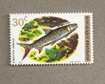 Stamps Rwanda -  Pez Hidrocyon forskalii