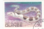 Stamps Guinea -  PEZ
