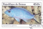 Stamps Guinea -  PEZ