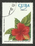 Stamps Cuba -  Hibiscus Rosa Sinensis