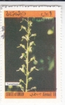 Stamps Oman -  FLORES- orquidea 