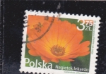 Stamps : Europe : Poland :  FLOR
