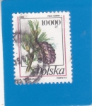 Stamps Poland -  PIÑA