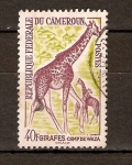 Stamps Cameroon -  GIRAFA