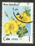 Sellos de America - Cuba -  Rosa englanteria