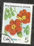 Stamps Cuba -  Rosa Eglanteria Punicea