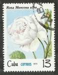 Stamps Cuba -  Rosa muscosa alba