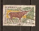 Stamps : Africa : Cameroon :  BUFALO