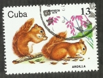 Sellos de America - Cuba -  Ardilla