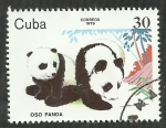 Stamps Cuba -  Oso panda