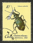Stamps Cuba -  Calosoma Splendida