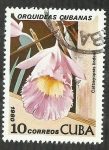 Sellos de America - Cuba -  Cattleyopsis Lindenii