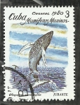 Stamps Croatia -  Jubarte