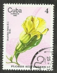 Stamps Cuba -  Urechites Lutea