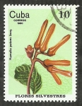 Stamps : America : Cuba :  Hamelia Patens