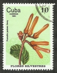 Sellos de America - Cuba -  Hamelia Patens