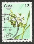 Stamps Cuba -  Morinda Royo
