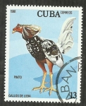 Stamps : America : Cuba :  Pinto
