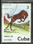 Sellos de America - Cuba -  Equinos