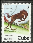 Stamps Cuba -  Equinos