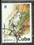 Stamps Cuba -  Equinos