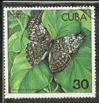 Stamps Cuba -  Hamadryas Ferox