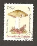 Stamps Germany -  INTERCAMBIO