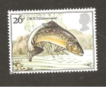 Stamps United Kingdom -  RESERVADO CARLOS RODENAS