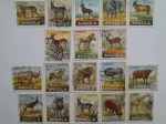 Stamps : Africa : Angola :  Fauna Africana- Animales- Antílopes-Mamiferos-felinos- Sello, año 1953.