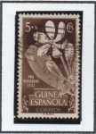 Stamps : Europe : Spain :  Pro indígenas