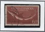 Stamps : Europe : Spain :  Carcharrhinus